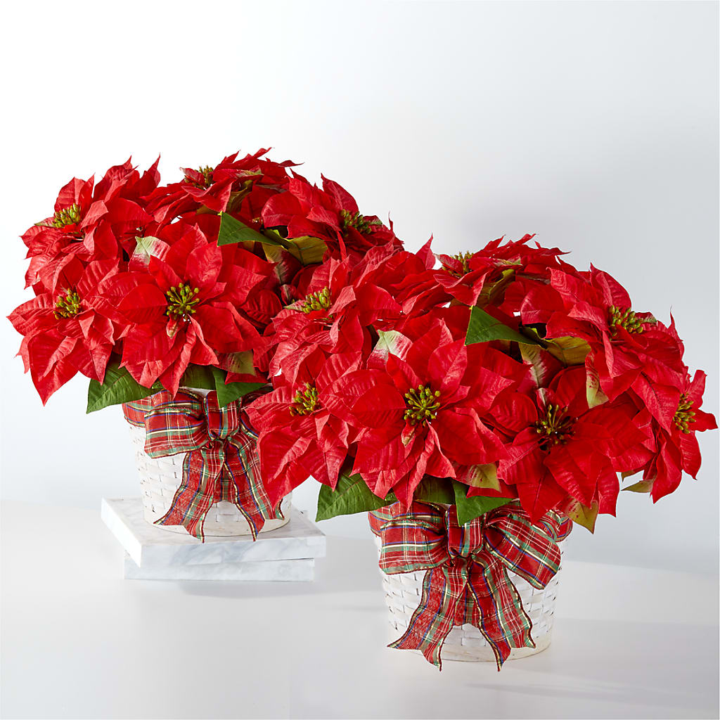 Happiest Holidays Poinsettia Bundle flower arrangement by Honeybee Floral