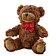 Adorable Plush Bear flower arrangement by Honeybee Floral