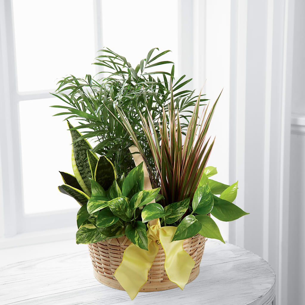 French Garden flower arrangement by Honeybee Floral