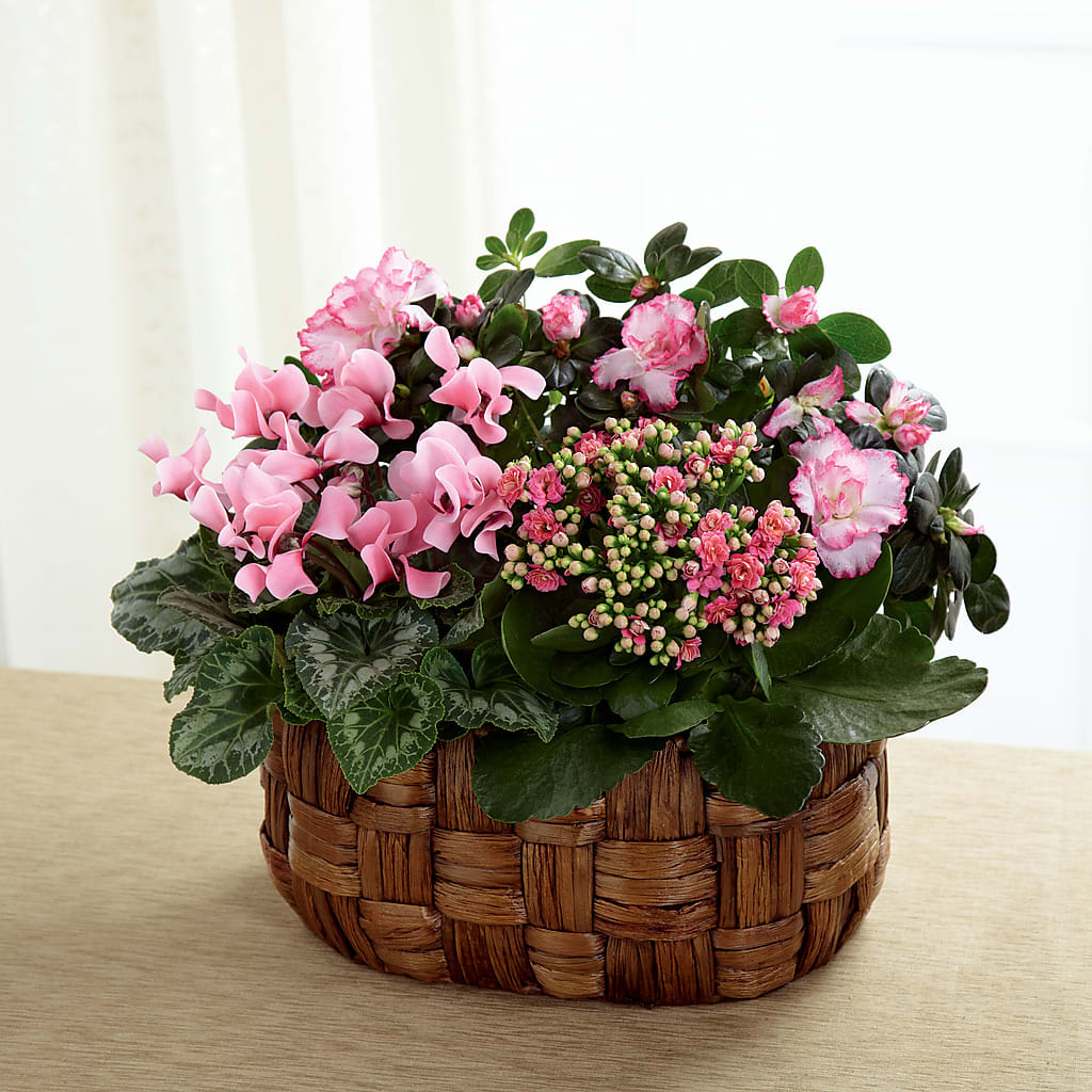 Pink Assortment flower arrangement by Honeybee Floral