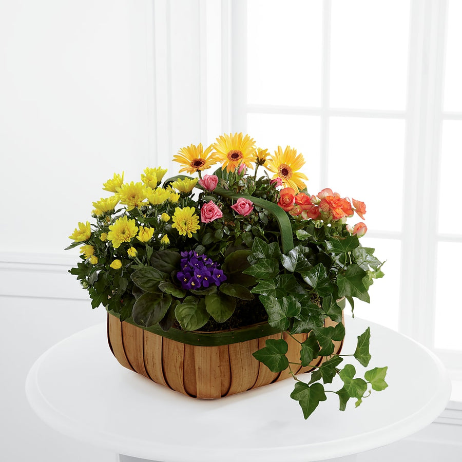 Gentle Blossoms Basket flower arrangement by Honeybee Floral
