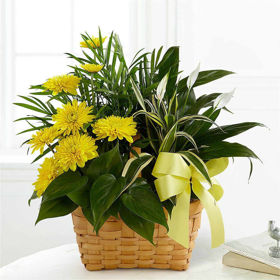 Loving Light Dishgarden flower arrangement by Honeybee Floral