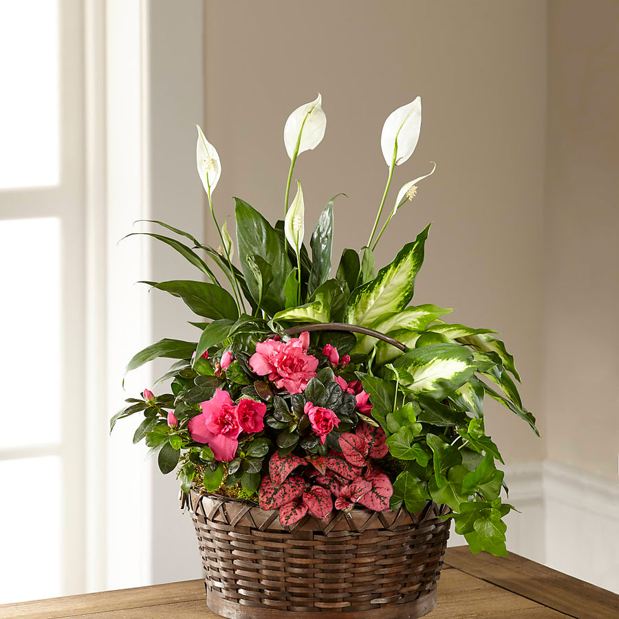 Dream in Pink Dishgarden flower arrangement by Honeybee Floral