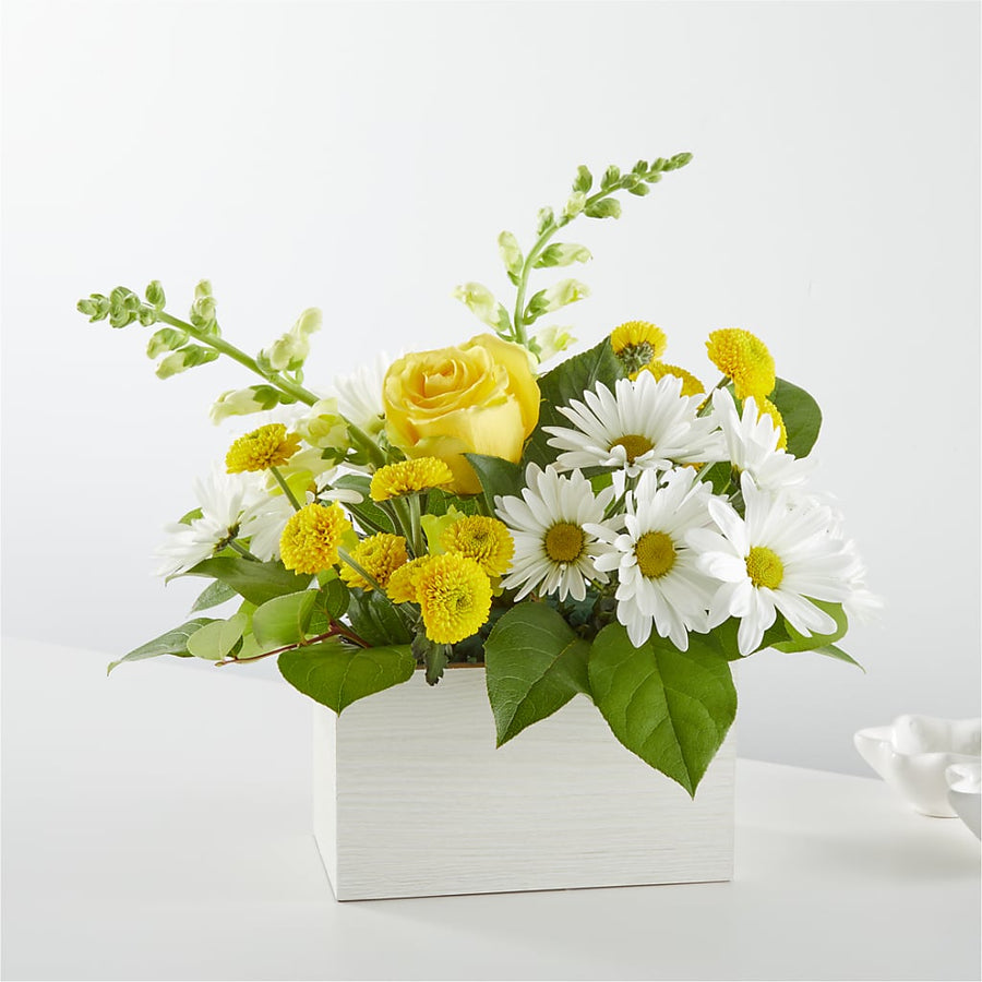 Sun Salutation Box Bouquet flower arrangement by Honeybee Floral
