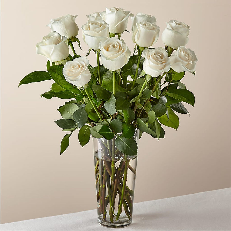 Long Stem White Rose Bouquet flower arrangement by Honeybee Floral