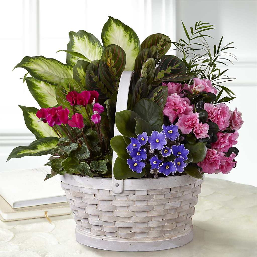 Peaceful Garden Planter flower arrangement by Honeybee Floral