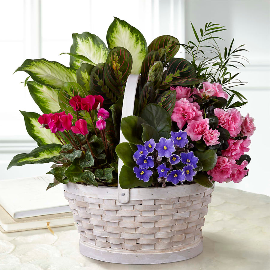Peaceful Garden Planter flower arrangement by Honeybee Floral