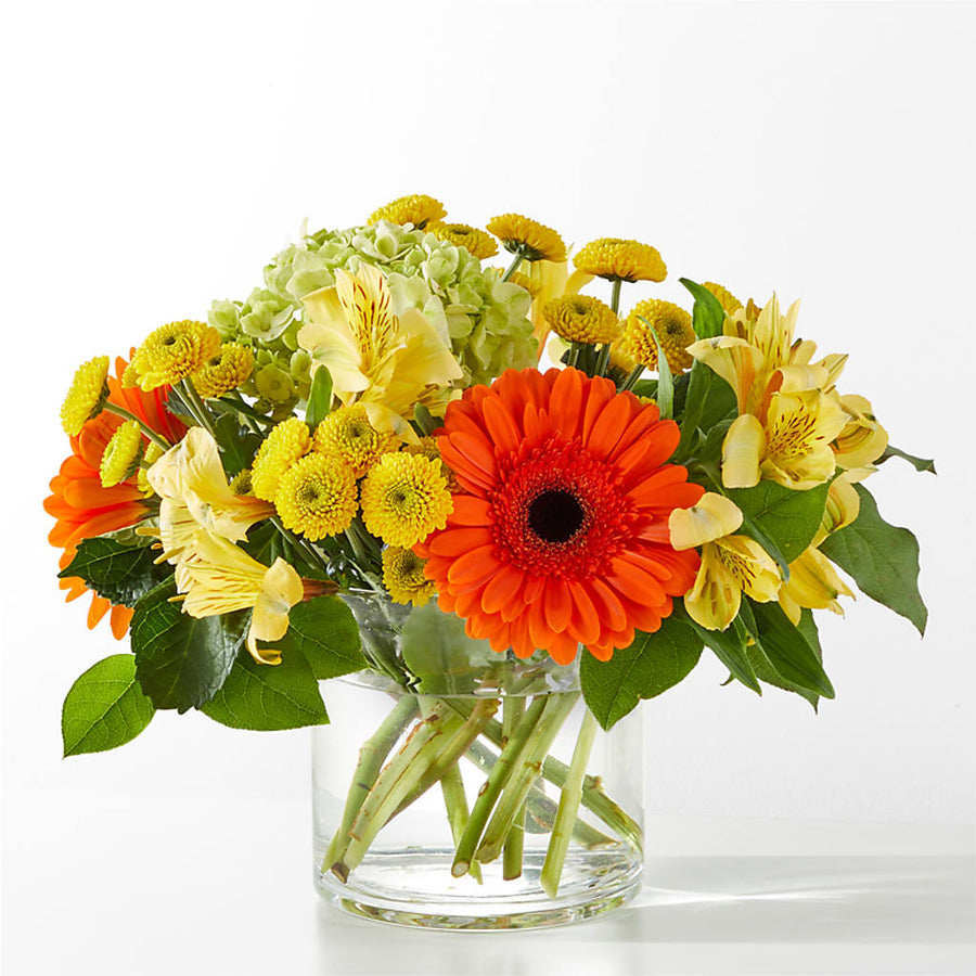 Autumn Sunshine Bouquet flower arrangement by Honeybee Floral