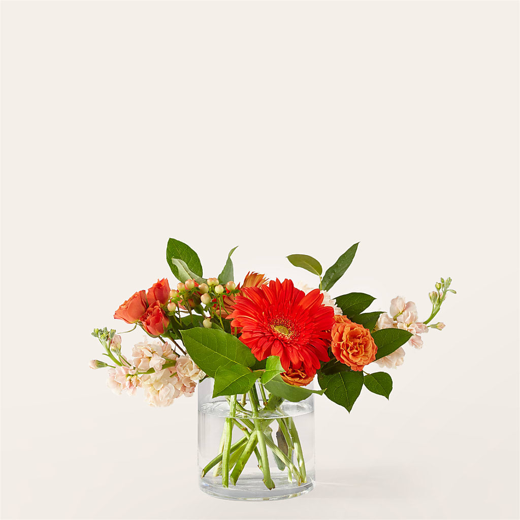 Paloma Please Bouquet flower arrangement by Honeybee Floral