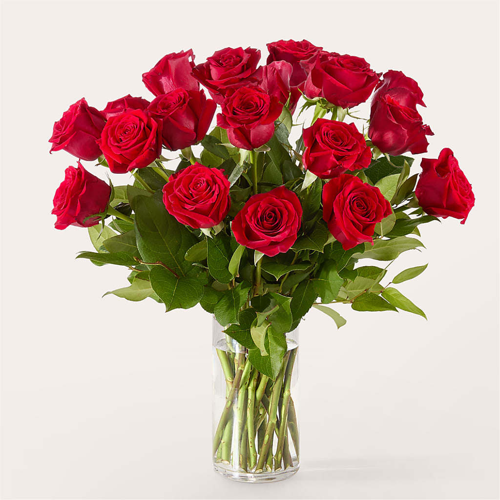 The One Red Rose Bouquet flower arrangement by Honeybee Floral