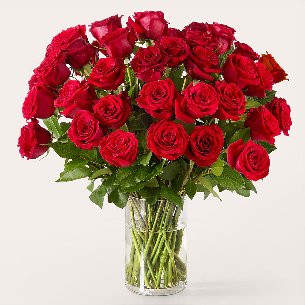 The One Red Rose Bouquet flower arrangement by Honeybee Floral