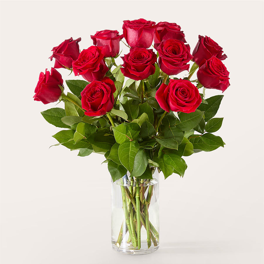 The One Red Rose Bouquet flower arrangement by Honeybee Floral