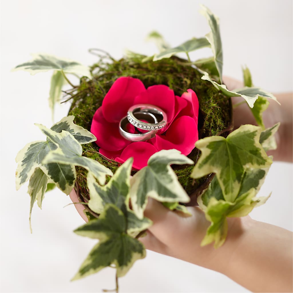 Lila Rose Ring Nest flower arrangement by Honeybee Floral