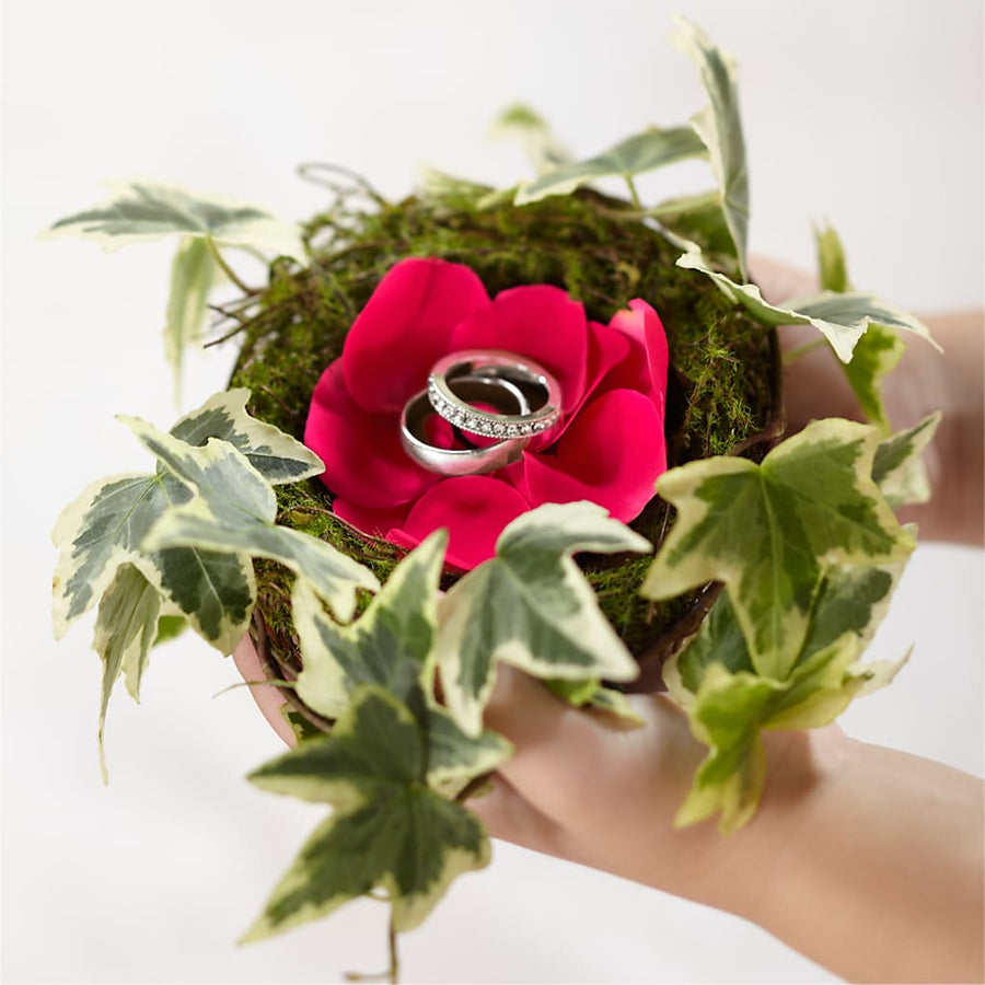 Lila Rose Ring Nest flower arrangement by Honeybee Floral