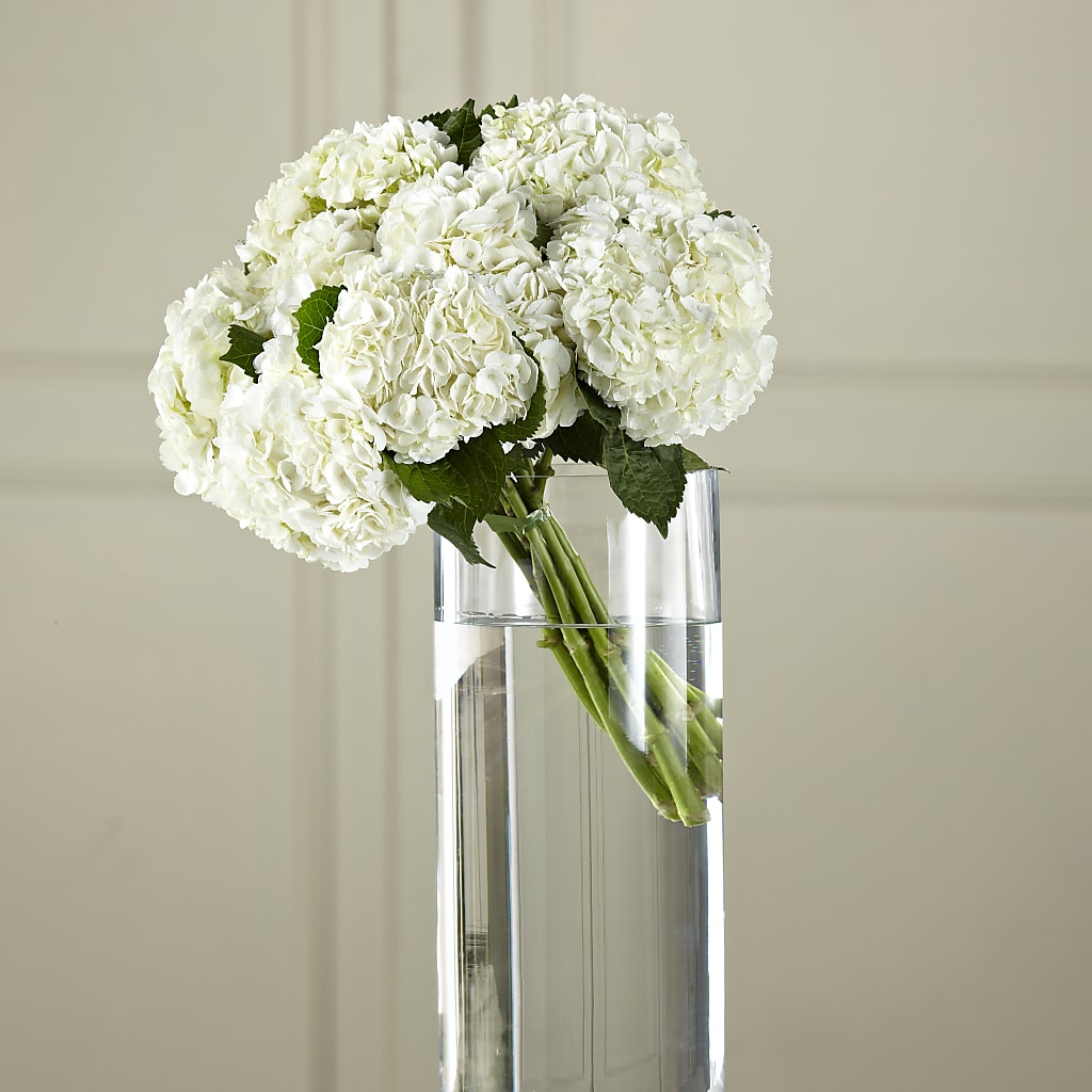 White Hydrangea Hand-Tied Bouquet flower arrangement by Honeybee Floral