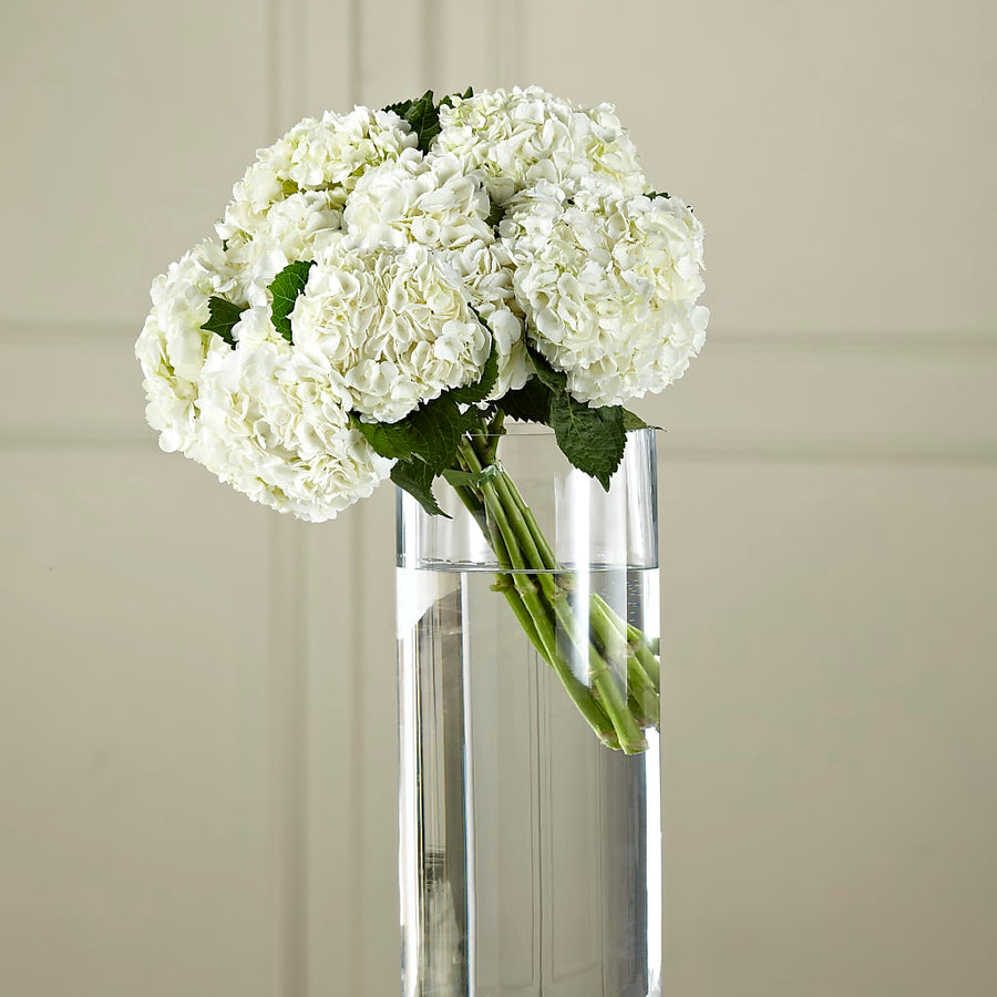 White Hydrangea Hand-Tied Bouquet flower arrangement by Honeybee Floral