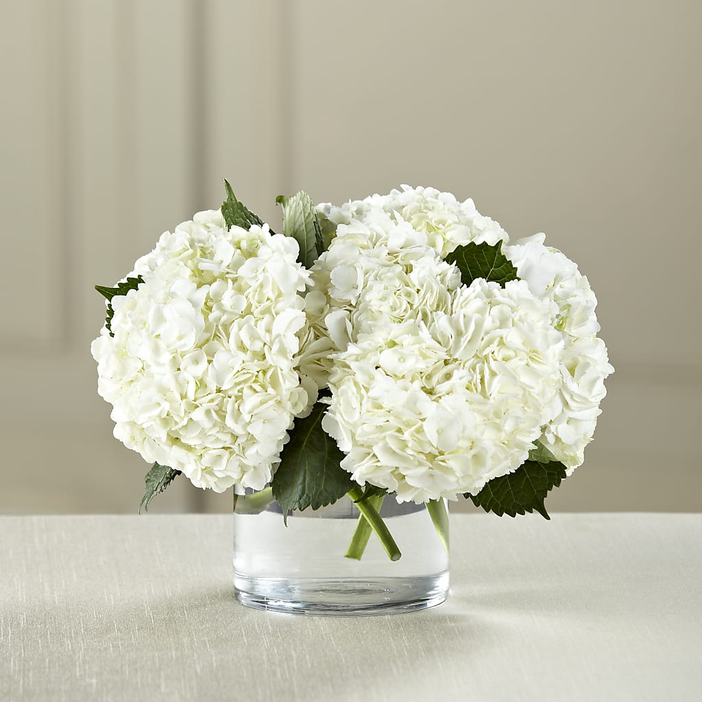 White Hydrangea Bouquet flower arrangement by Honeybee Floral