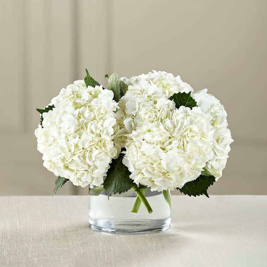 White Hydrangea Bouquet flower arrangement by Honeybee Floral